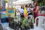 ação leva educação ambiental marinha para praias de Salvador neste final de semana – Secretaria de Comunicação