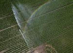Programa de regeneração ambiental reduz emissão de carbono na agricultura
