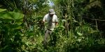 Edital seleciona 36 projetos para fortalecer agricultura familiar