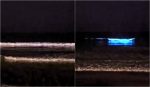 Mar neon? Entenda fenômeno que ocorreu em Santa Catarina