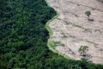 Brasil perdeu 111,7 milhões de hectares de áreas naturais em 40 anos
