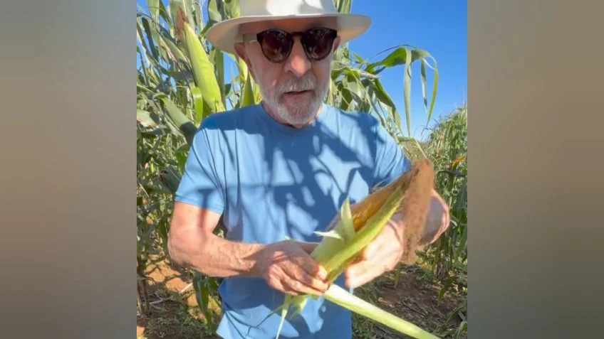 “Agricultor, eu nem sabia que eu era”, diz Lula ao colher milho