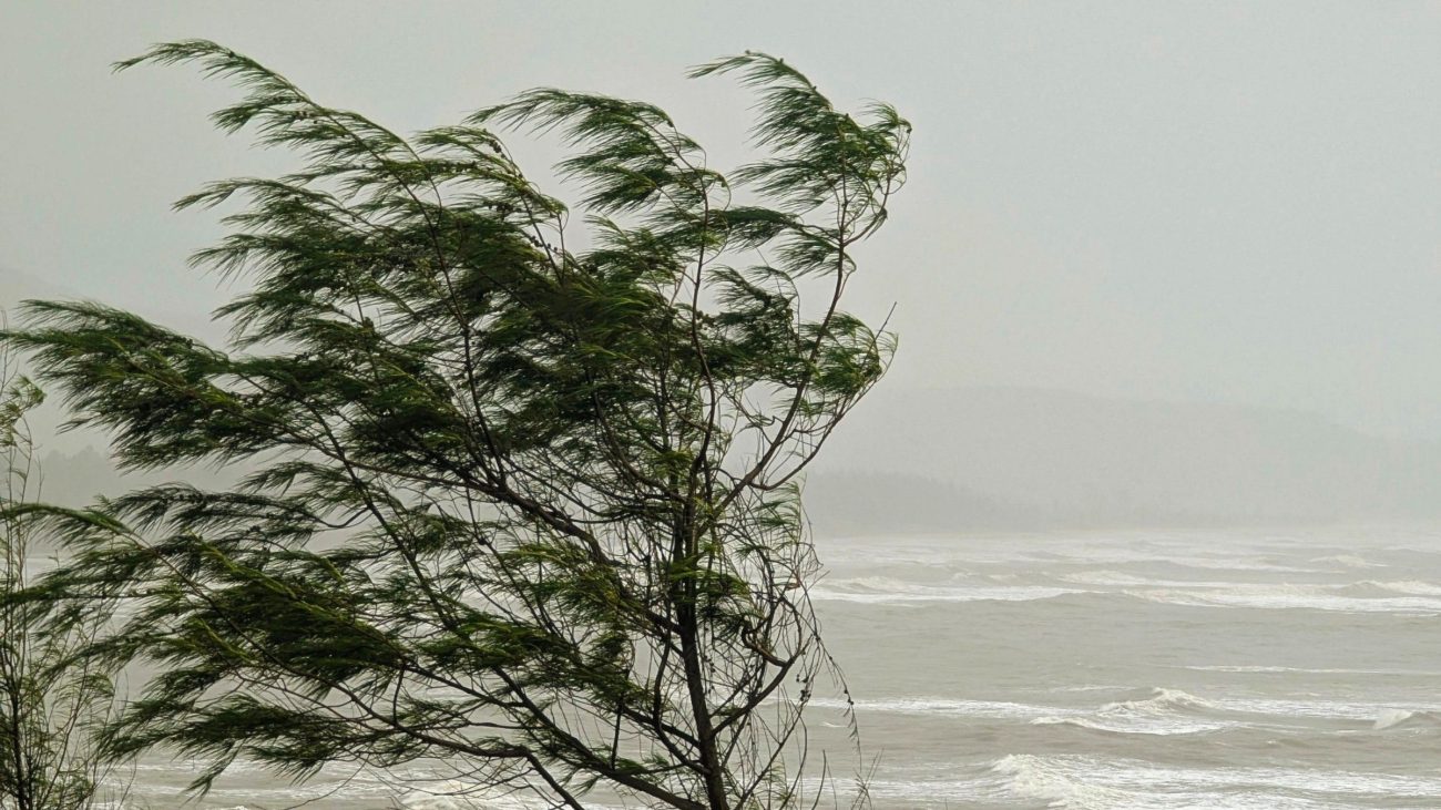 Ponta Grossa registra rajadas de vento de quase 40 km/h em meio a alerta de temporal — BnT Online