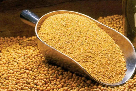 Conab detalha operação para comercialização do farelo de soja